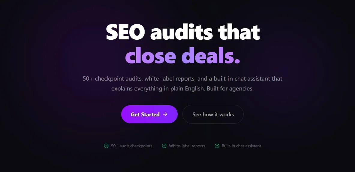 Monster Audit website preview
